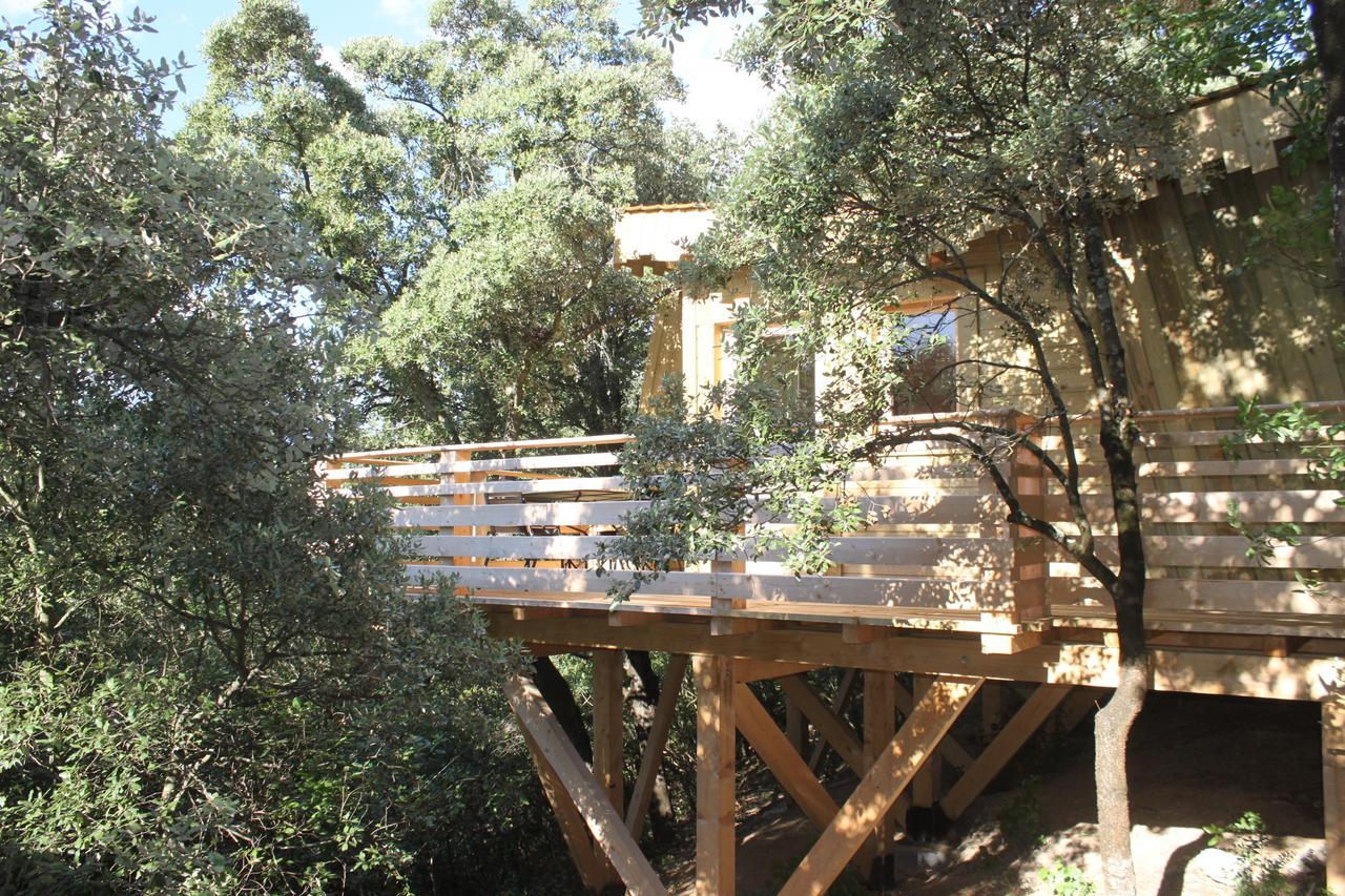 Les Cabanes Dans Les Bois Logis Hotel Villedubert Room photo