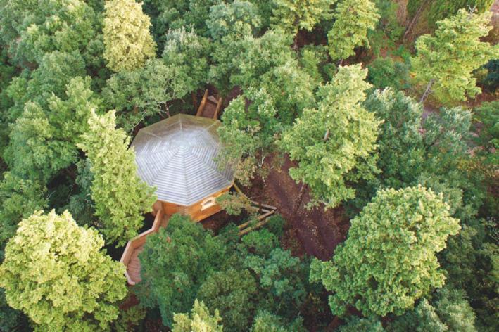 Les Cabanes Dans Les Bois Logis Hotel Villedubert Exterior photo