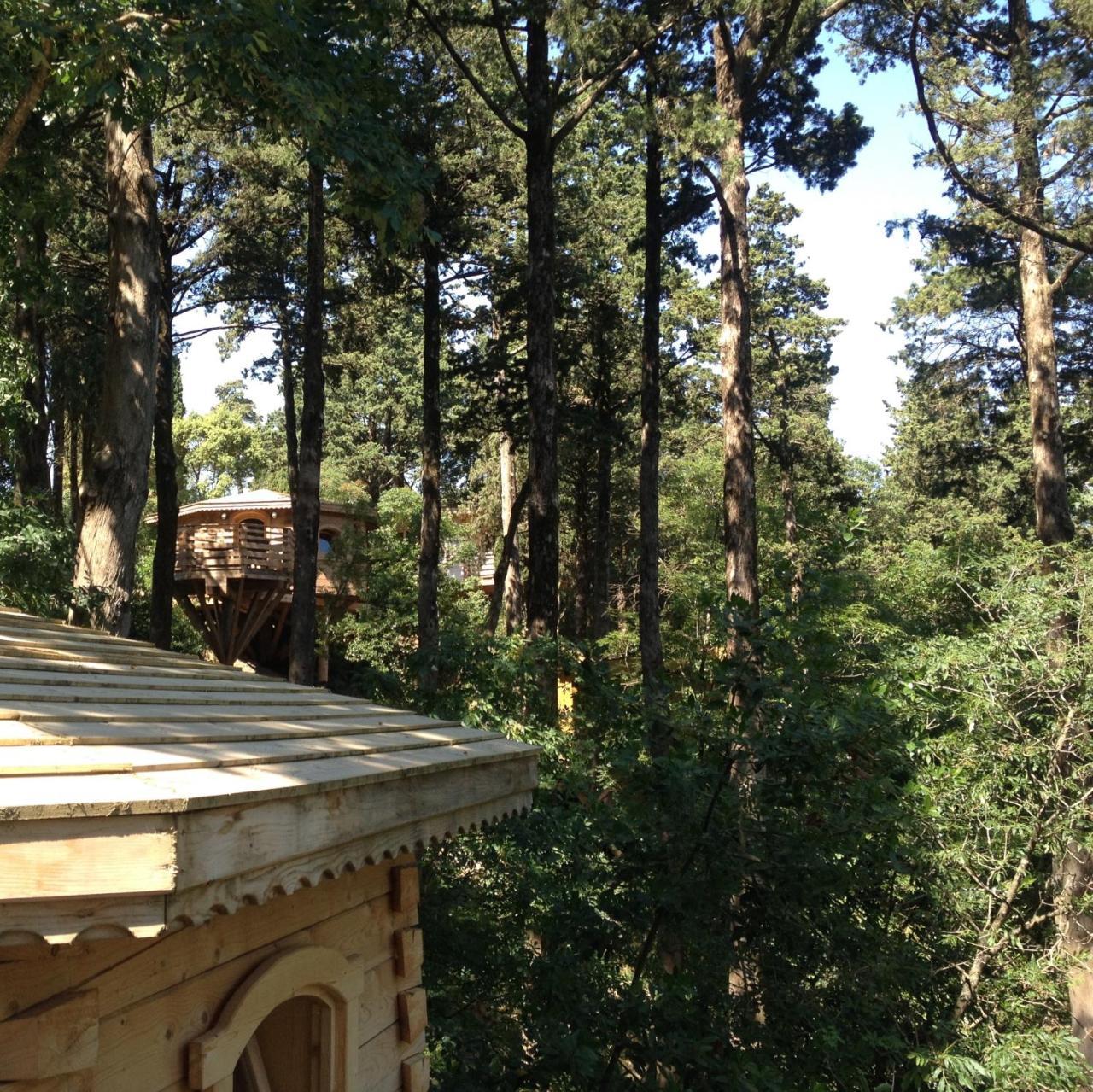 Les Cabanes Dans Les Bois Logis Hotel Villedubert Exterior photo